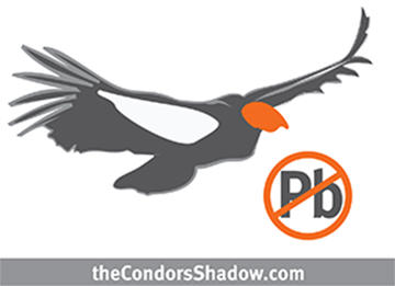 theCondorsShadow.com