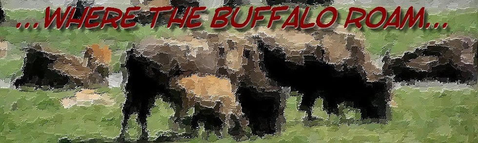 ...where the buffalo roam...