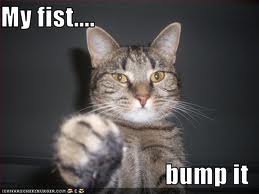 cat+fist.jpg (259×194)