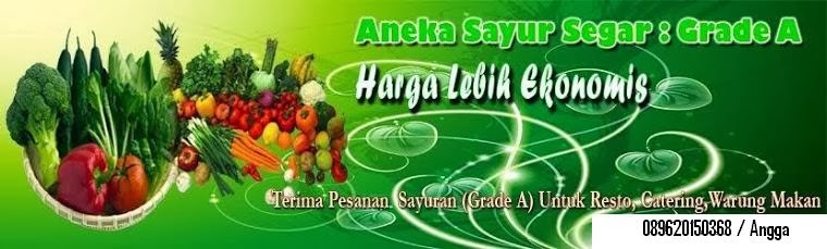 Supplier Sayuran Tangerang
