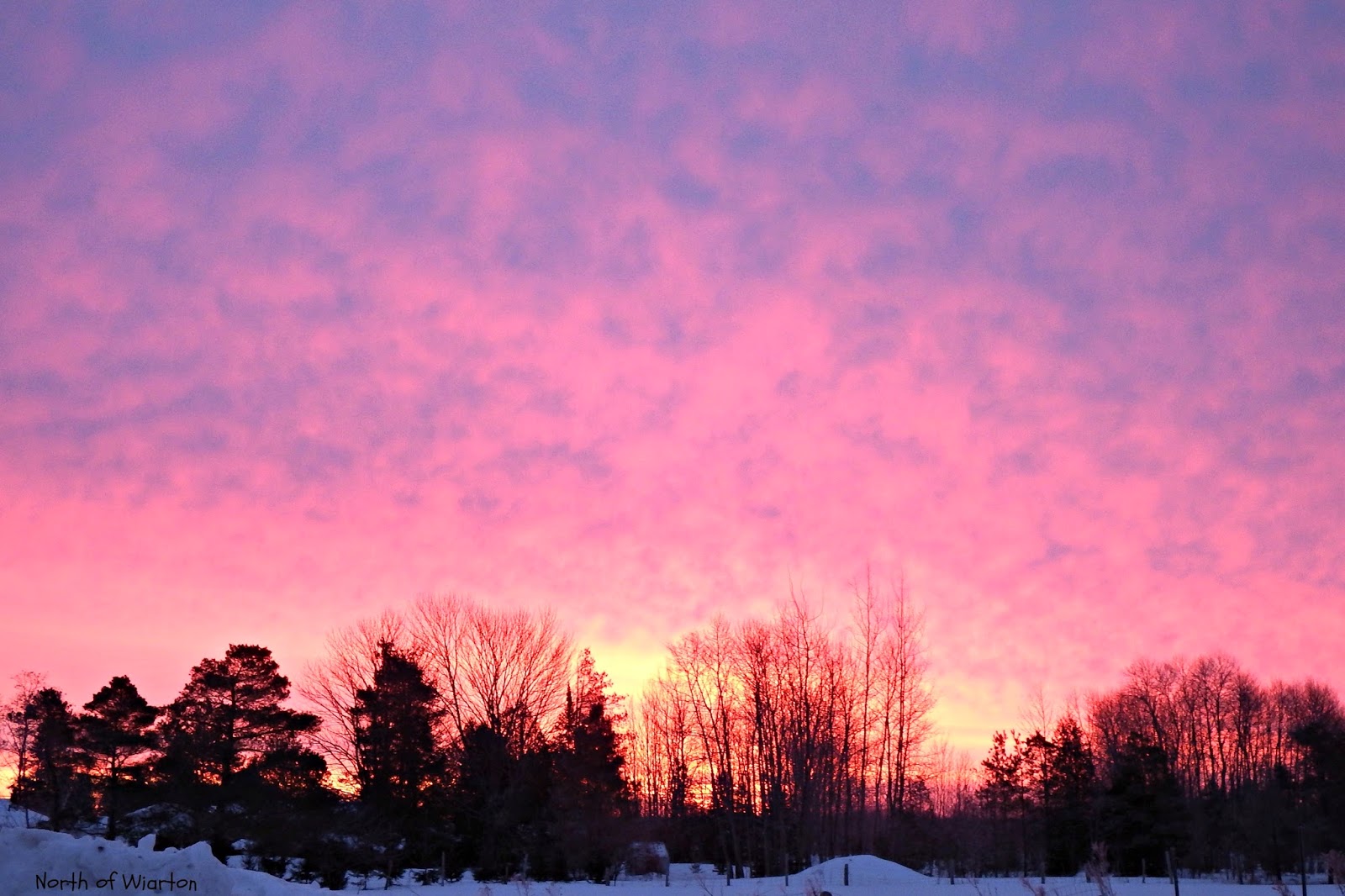 "Just North of Wiarton & South of the Checkerboard" Pink Sky In The