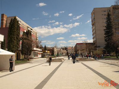 Tulipan Miercurea Ciuc