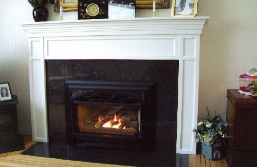 Fireside inch replacement inserts electric 21