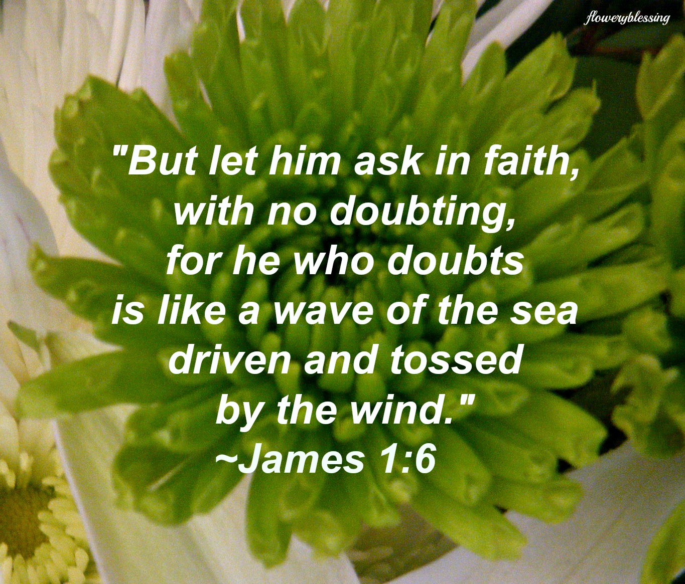 Flowery Blessing "But let him ask in faith, with no doubting, for he