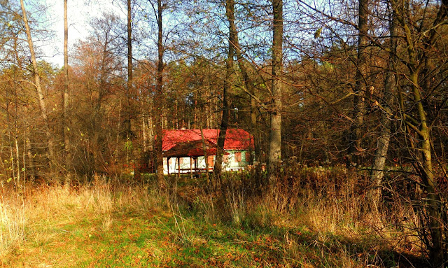 Roztocze Szumy Tajemnice Natury Roztocze