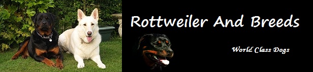 Rottweiler and Breeds