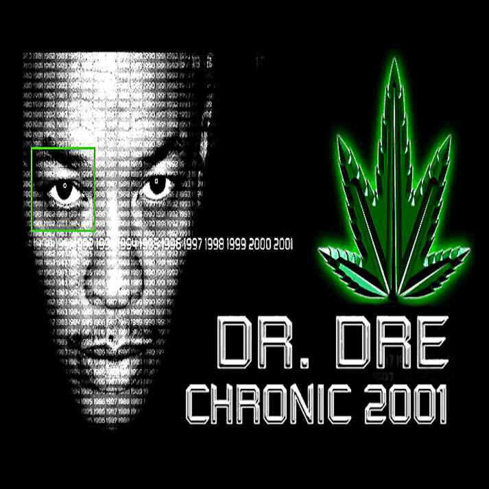 Dr Dre Chronic 2001