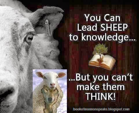 http://4.bp.blogspot.com/-2x1_c2_ZnKE/UzcHYcl5zTI/AAAAAAAAHYE/uhAGisLGDmY/s1600/SHEEPLE+CAN+NOT+THINK.jpg