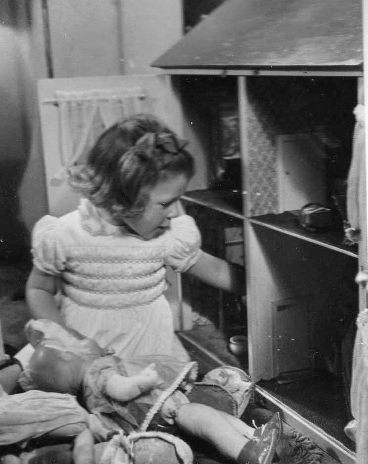 Cestina's dolls houses How it all began