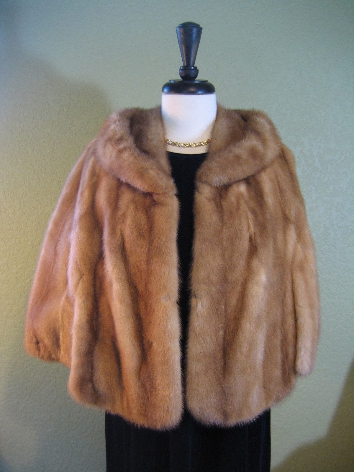 Bookish Beauty The Story of my Fur Coat