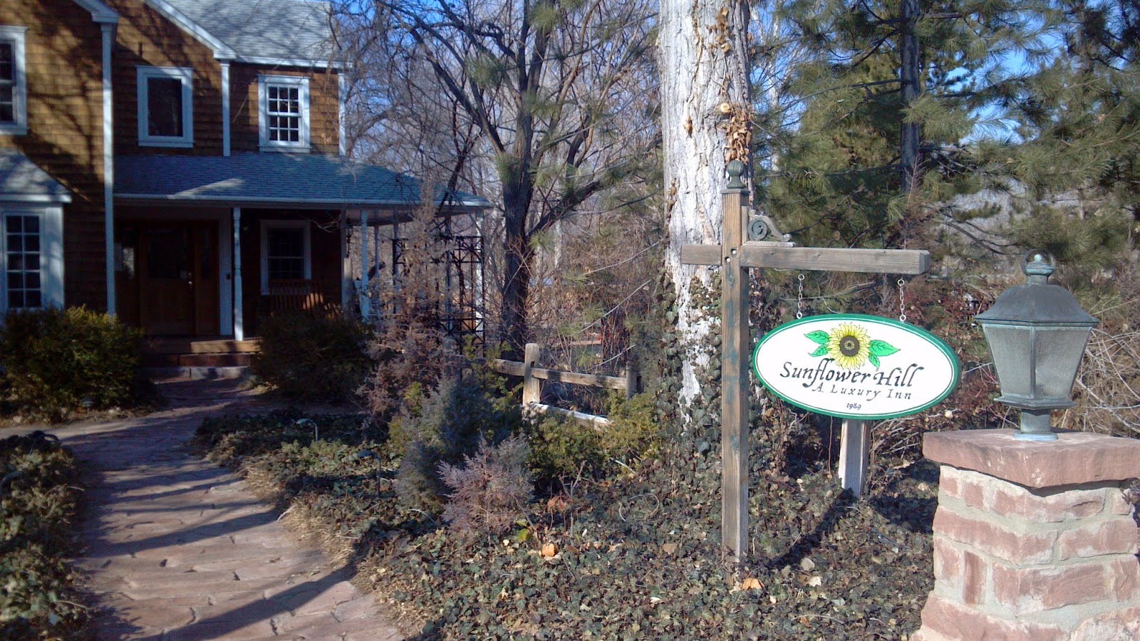 Our Hobbies Sunflower B B Moab Ut