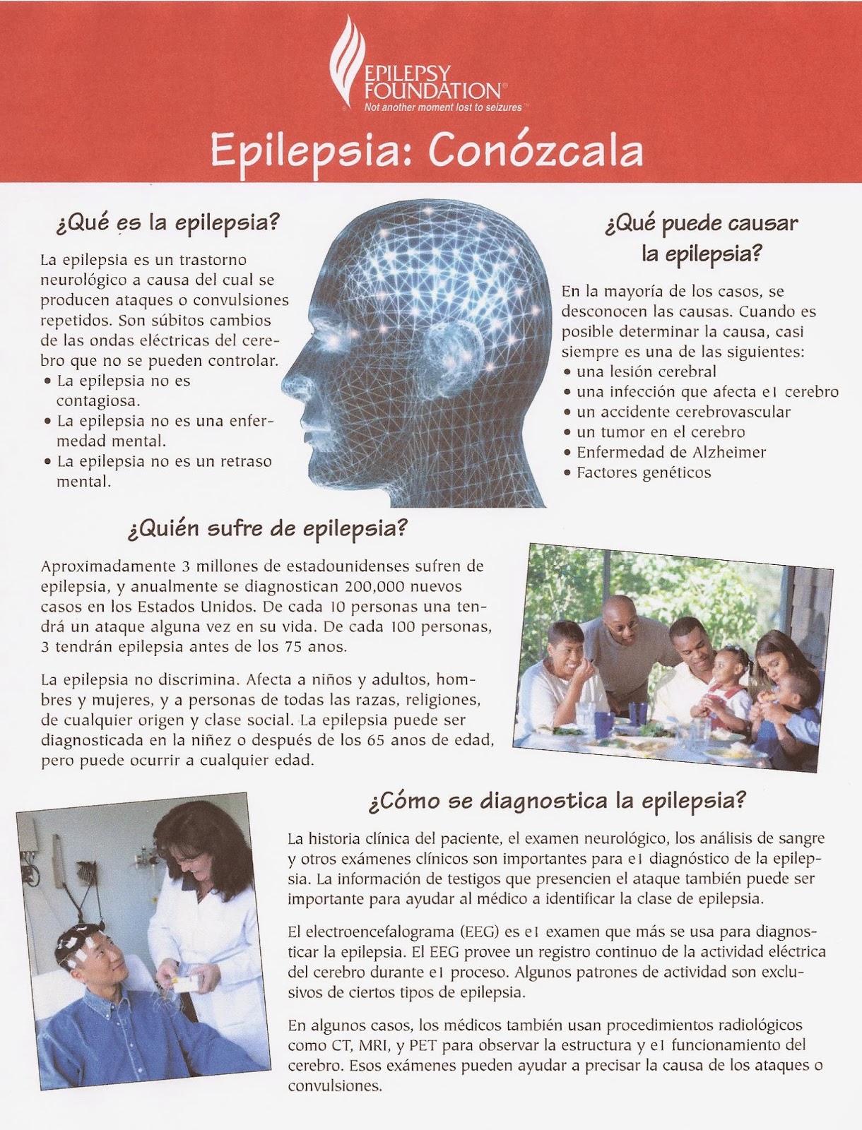 Epilepsy Foundation Of Long Island Garden City Ny Epilepsy Foundation Of Long Island Garden City Ny