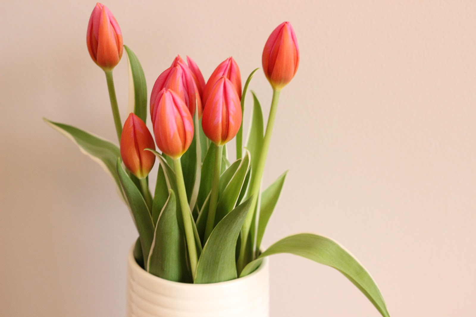 Making Your Bedroom A Relaxing Haven Making Your Bedroom A Relaxing Haven