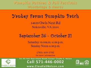 Pumpkin Patches near Woodbridge Virginia 2015 Yankey Farms Nokesville Virginia Owls Nest