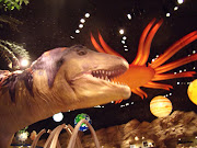 . two locations at Walt Disney World—Animal Kingdom and Downtown Disney. (gedc )