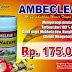 AmbeClear De Nature Obat Wasir atau Ambeien Herbal Berlisensi thumbnail
