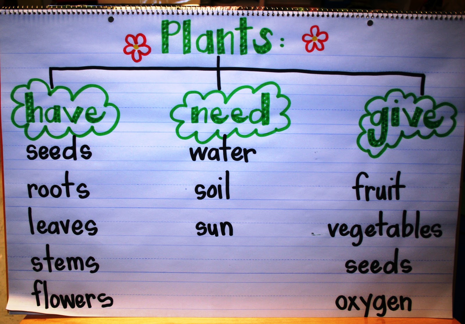 Eberhart's Explorers Plant Week!