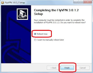 install flyvpn client