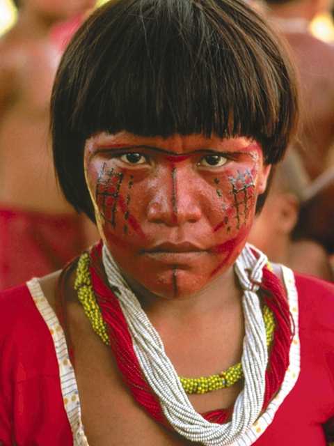 indios do brasil