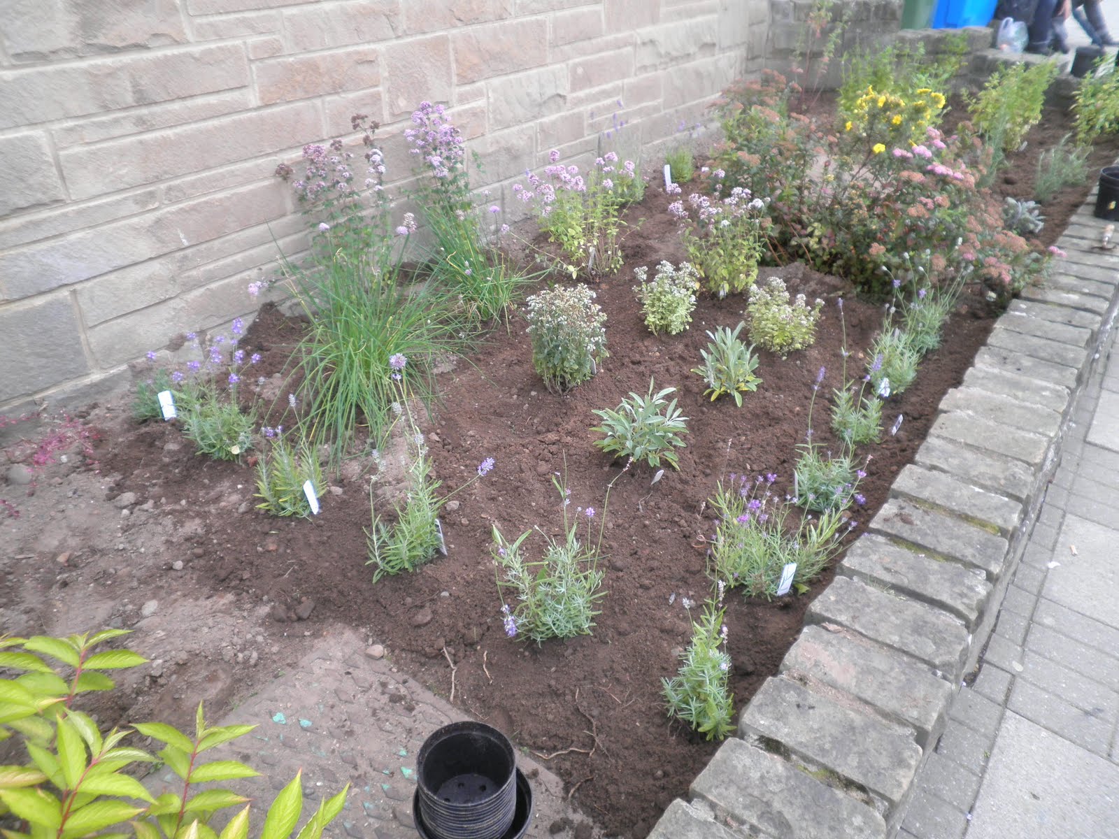 Friends of the Earth Falkirk ASDA Garden Takes Shape
