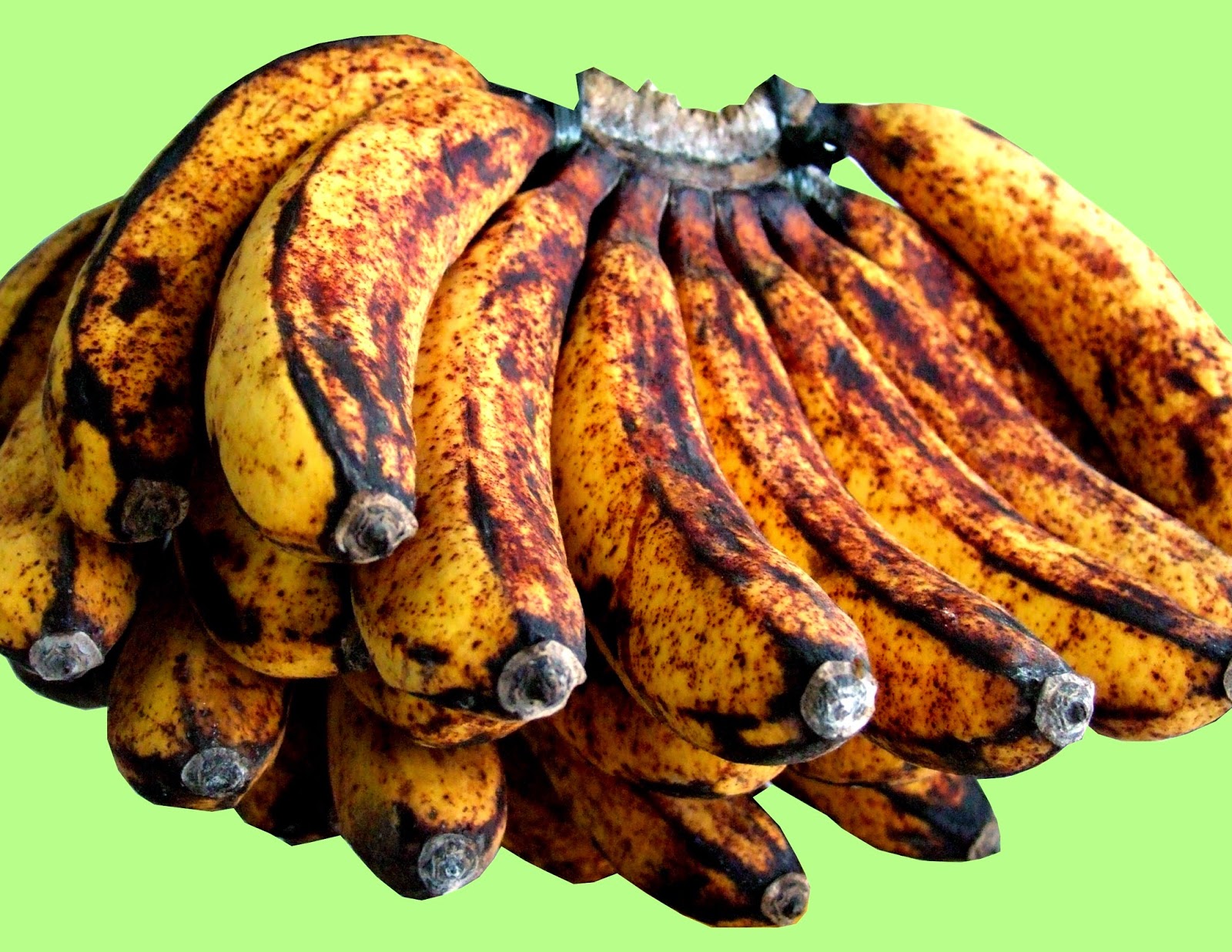 Manfaat Buah Pisang Berdasarkan Jenisnya ~ Bonjava Farm