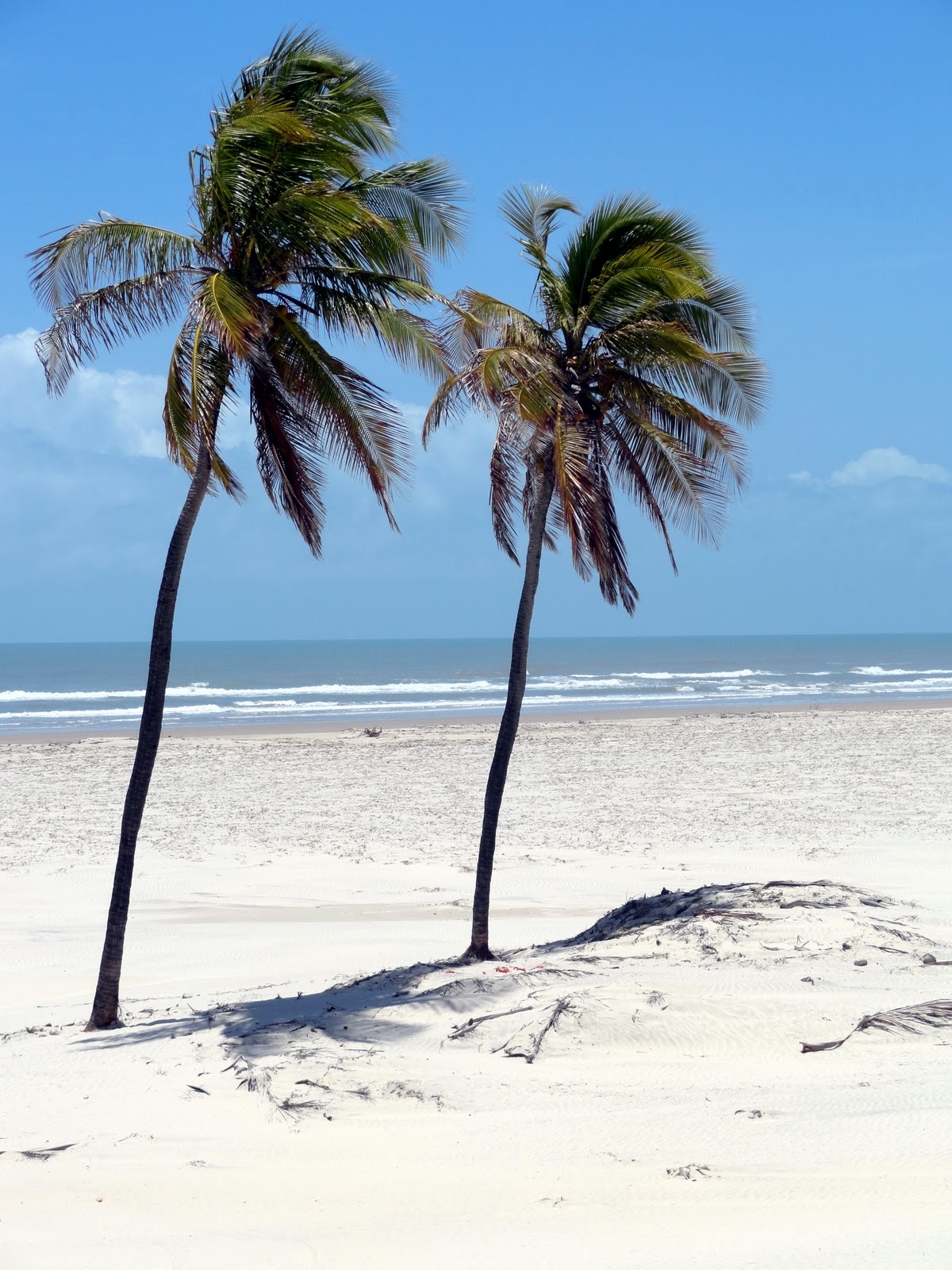 Https://Www.Passagenspromo.Com.Br/Blog/Mangue Seco Bahia/ - sjnn89n