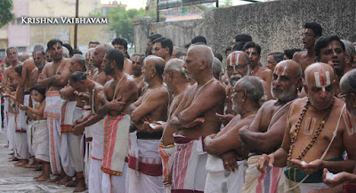 2015, Kodai Utsavam, Venkata Krishnan Swamy, Parthasarathy Temple, Thiruvallikeni, Triplicane,Day 03