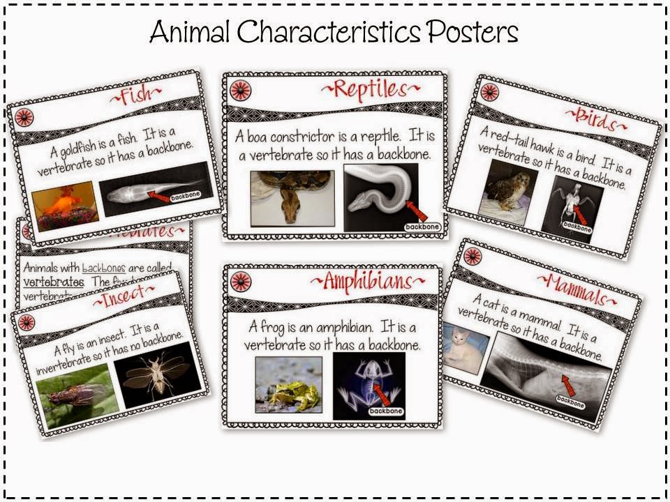 http://www.teacherspayteachers.com/Product/Growth-and-Changes-in-Animals-A-Primary-Science-Unit-1343663