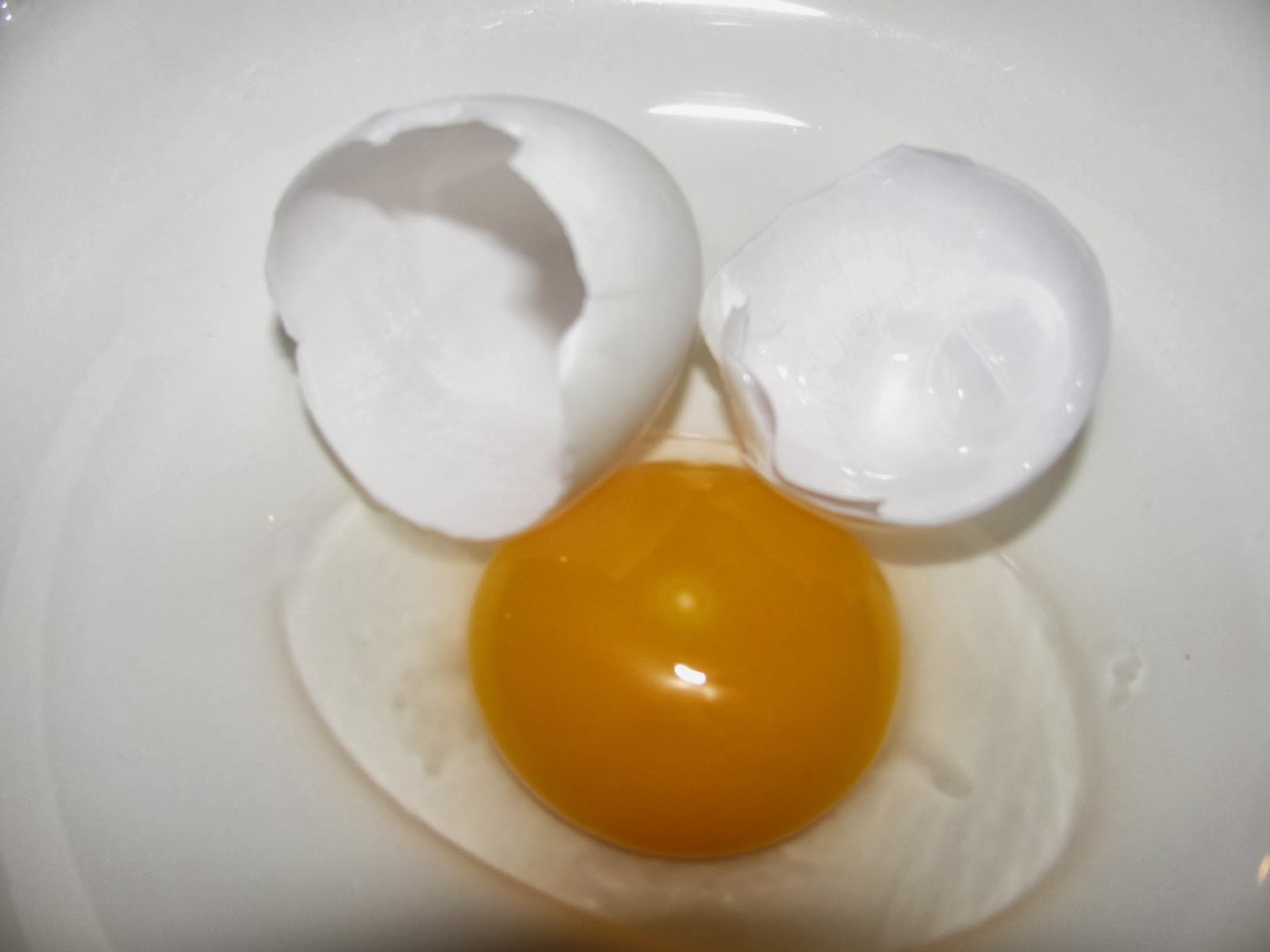 Gust Front Farm How We Monitor Fertility in Our Hatching Eggs