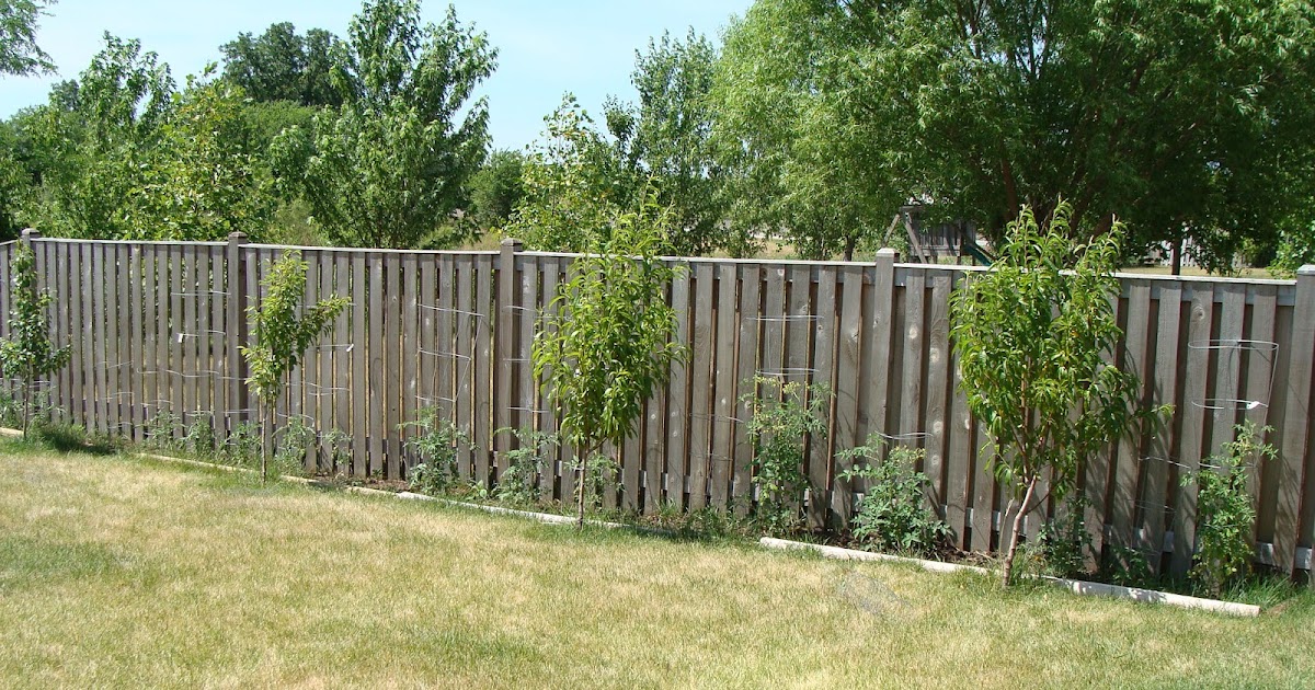 The Martha Initiative Perimeter garden