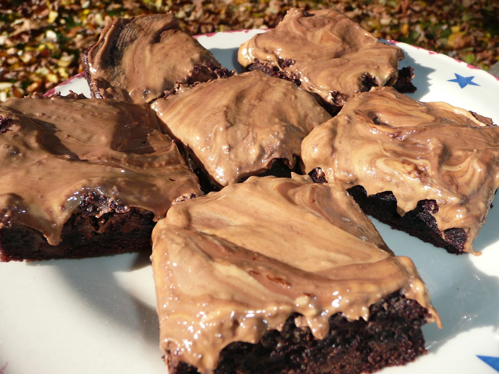 Everyday Dutch Oven Peanut Butter Brownies
