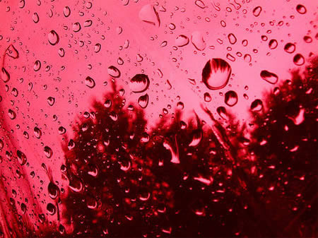 Rain of blood Picture Rain of blood Picture