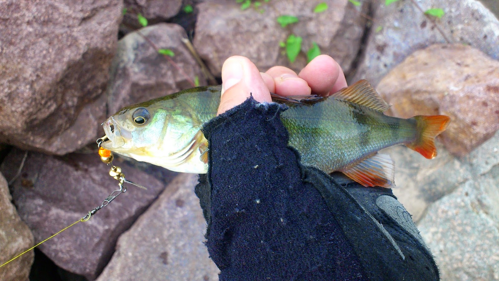 Вложенный файл: