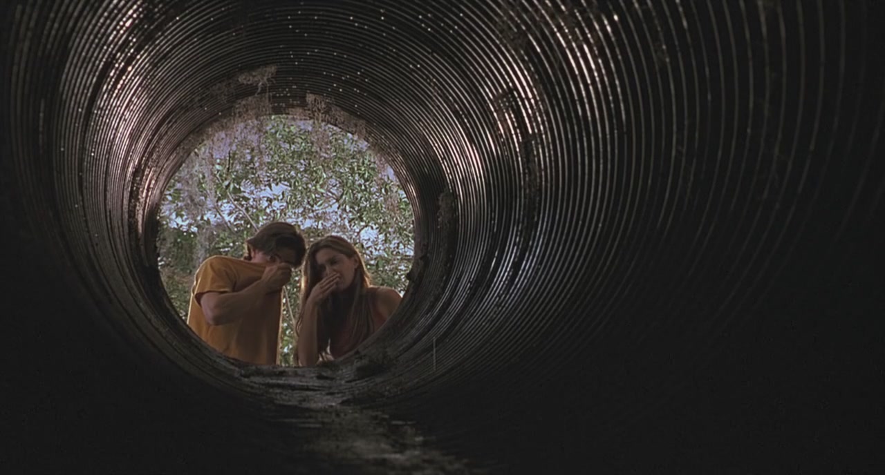 BMovies of the Digital Age Jeepers Creepers (2001)