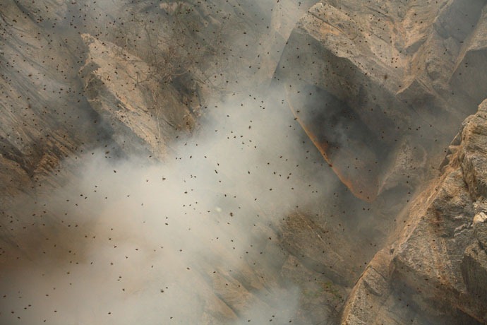 ����� �������