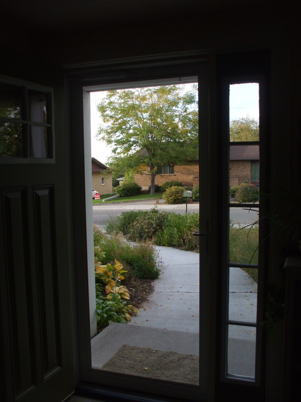About me, and other things. Storm doors