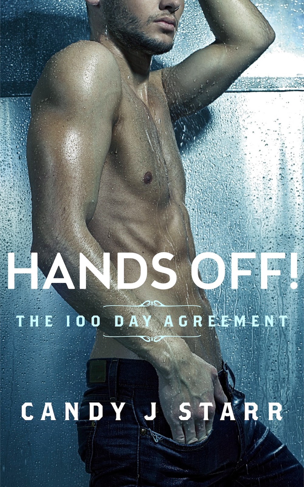 Hands Off! The 100 Day Agreement by Candy J. Starr Hands Off! The 100 Day Agreement by Candy J. Starr