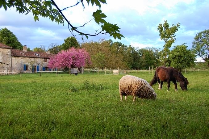 La Ferme au printemps