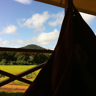 Relaxing in the hammock with misty mountain view