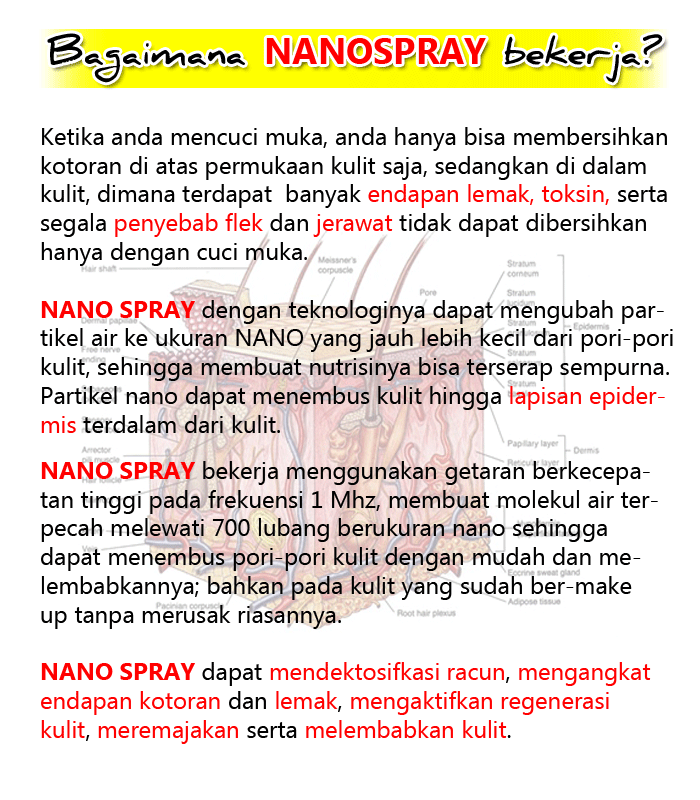 bagaimana nanospray bekerja