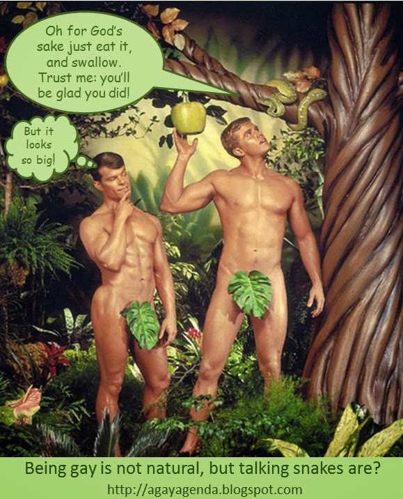 is gay natural Is gay natural
