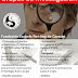 Actividades de los Grupos de Investigación