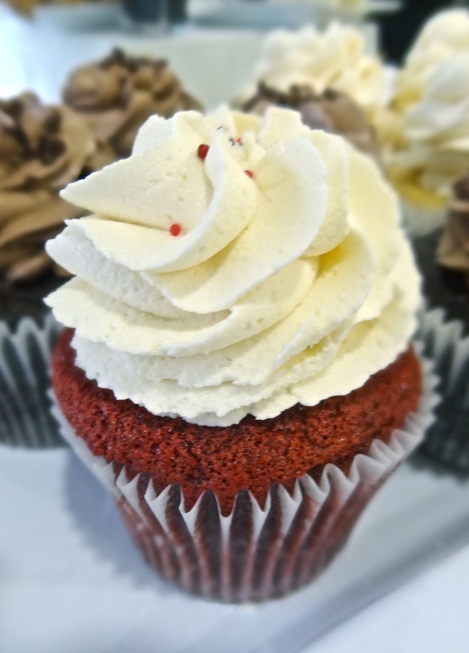 Scrumpdillyicious Vaughan's Cupcake Queens 'We Bake in Heels'