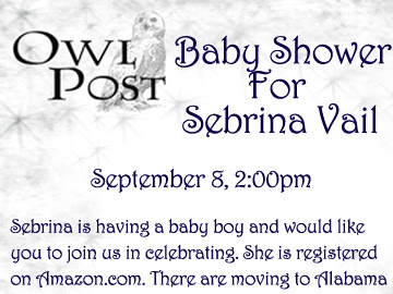 Baby Shower - Harry Potter and Doctor Who Themed