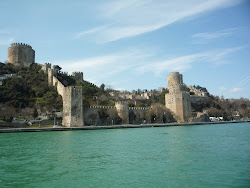 Castle protecting the strait