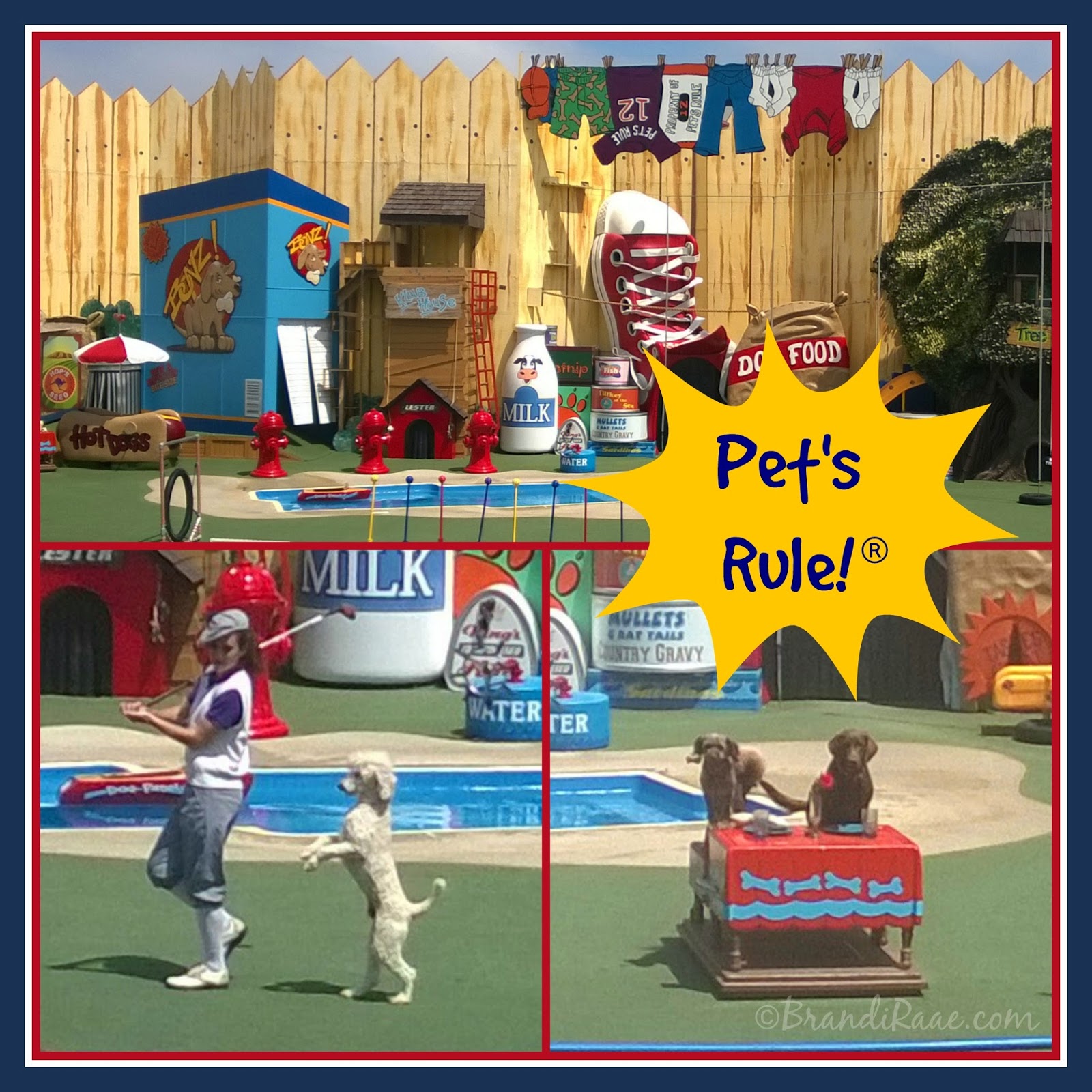 Brandi Raae June 2014