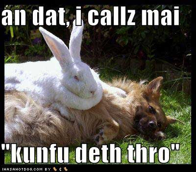 Funny Rabbit