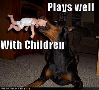 Funny DOG Pictures