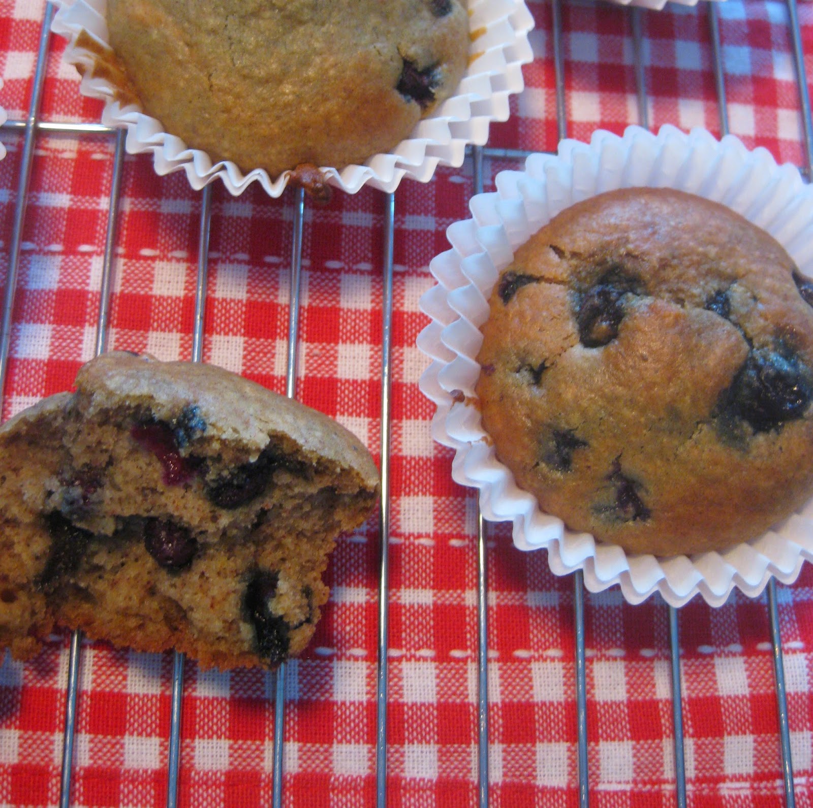 My Thermomix Kitchen Blog for healthy low fat Weight Watchers