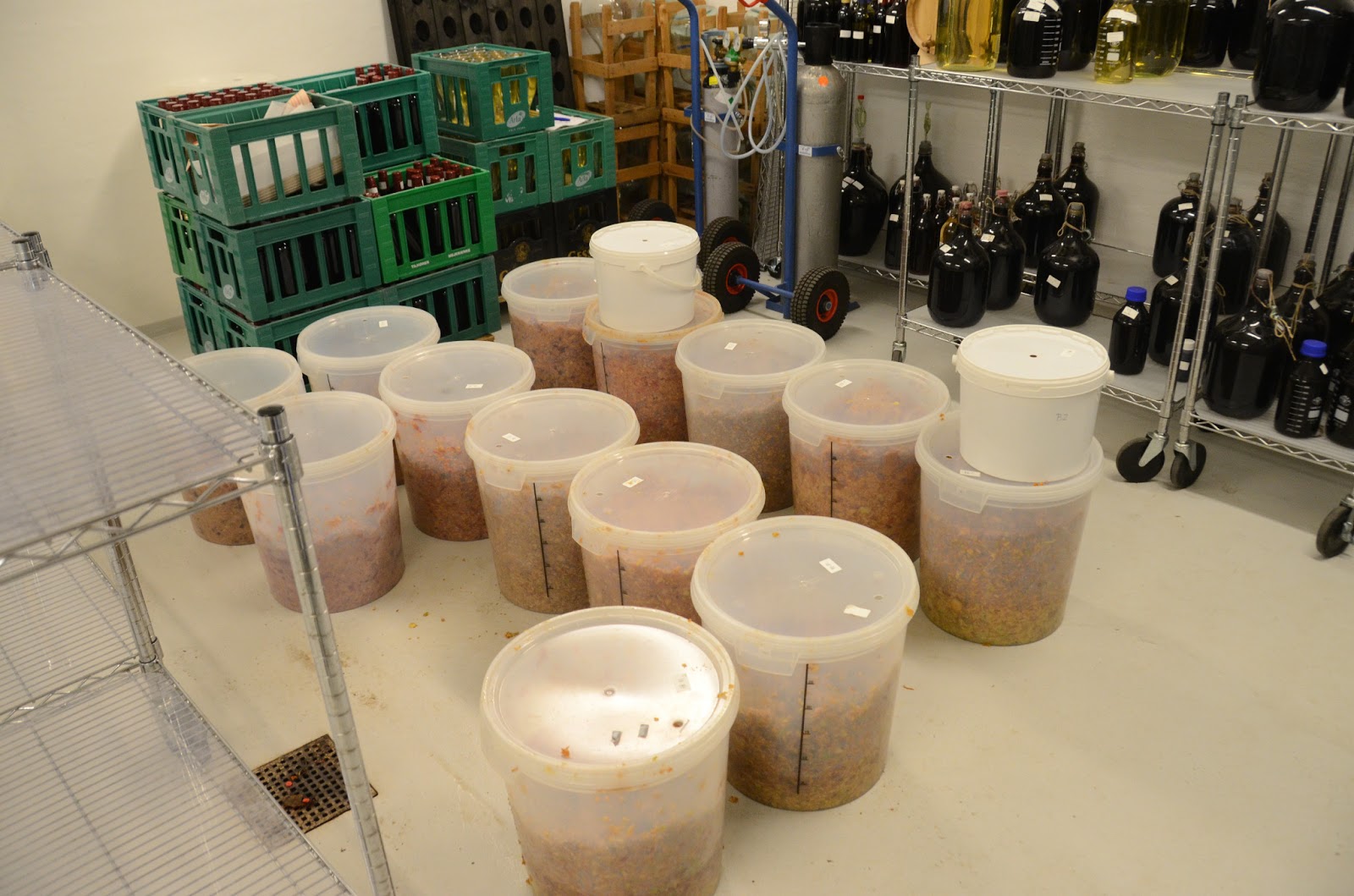 Danish Cider Step 5 Maceration